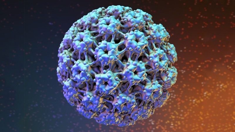 Virus HPV chủng 6 và 11