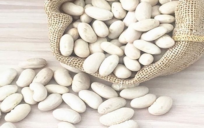 các loại đậu giàu protein