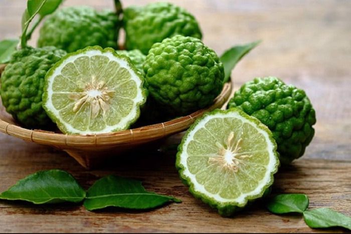 cam bergamot là gì