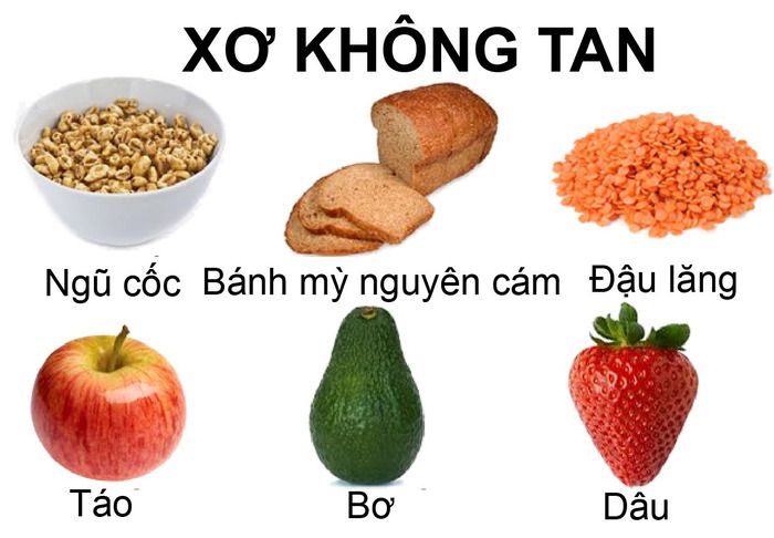 chất xơ