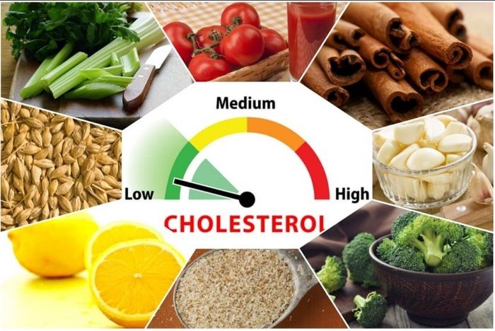 cholesterol và triglyceride