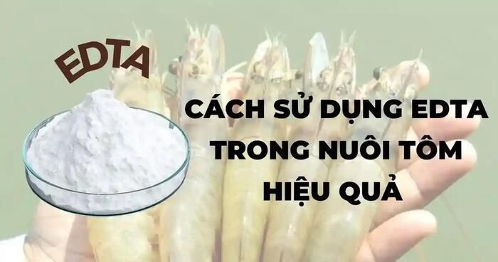 cách sử dụng EDTA