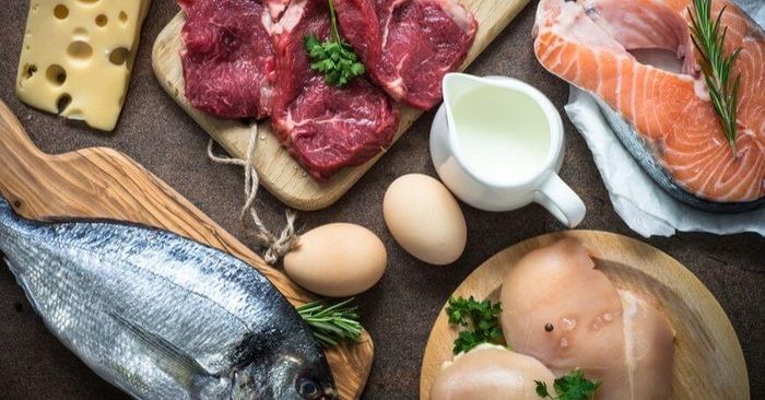 protein thực vật và động vật