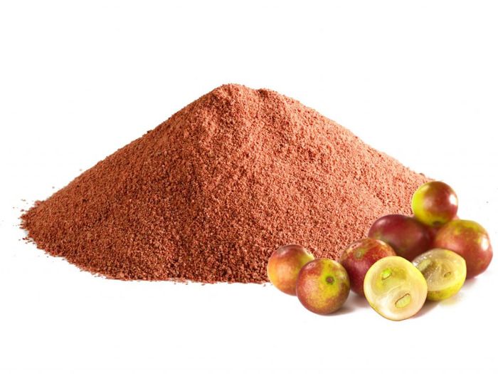 quả camu camu