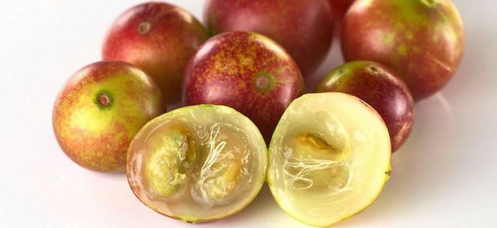 quả camu camu