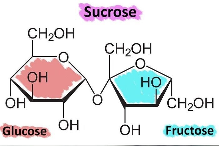 sucrose