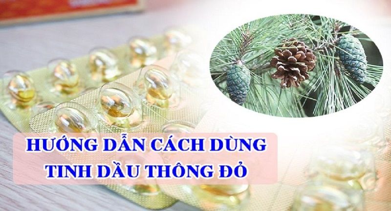 Những ai không nên uống tinh dầu thông đỏ