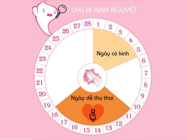 Cách dự đoán khoảng thời gian dễ thụ thai nhất