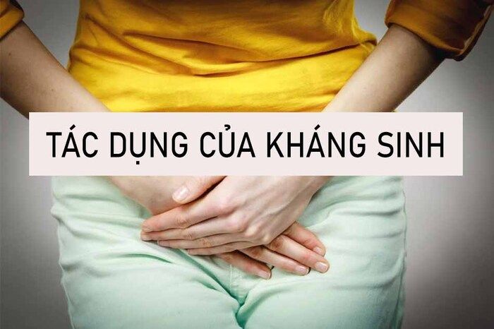 thuốc kháng sinh chữa viêm đường tiết niệu