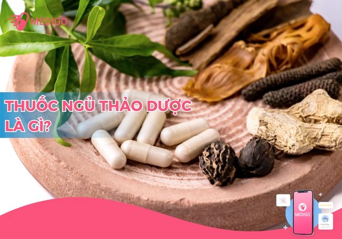 thuốc thảo dược trị mất ngủ tốt