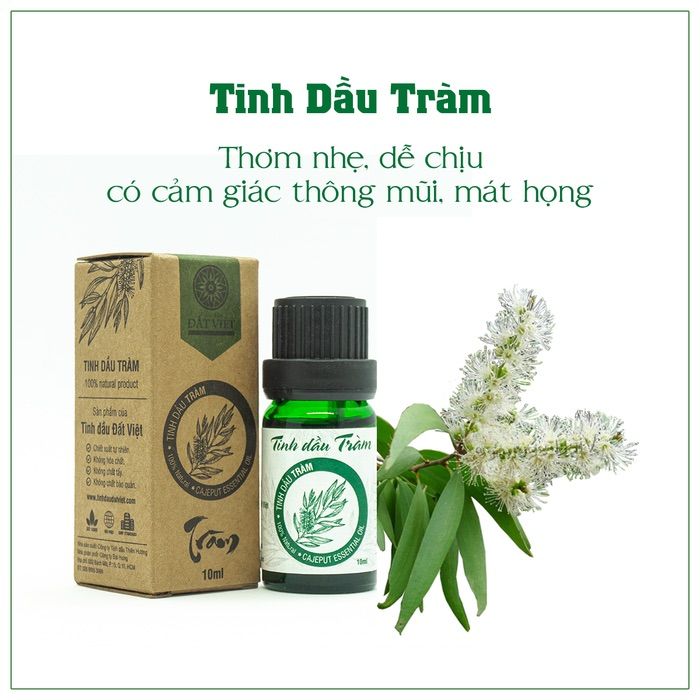 tinh dầu tràm cho bé đất việt