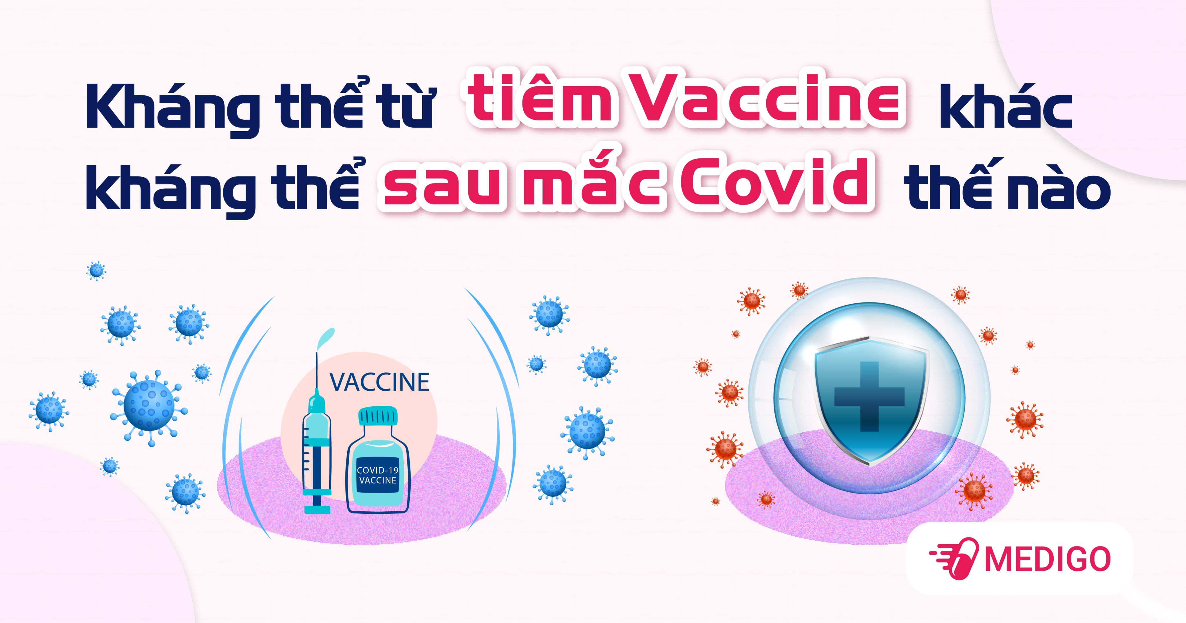 Kháng thể từ tiêm vaccine khác kháng thể sau mắc Covid thế nào